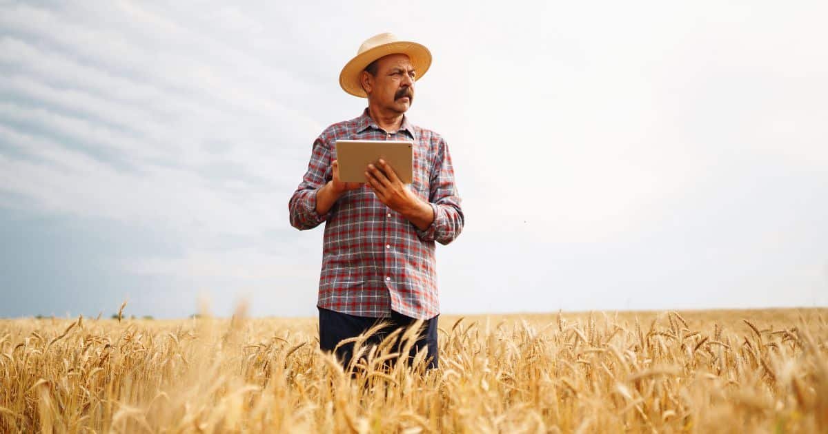 Laudo Frustração Safra